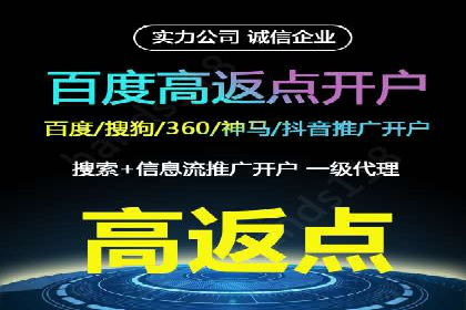 百度竞价运营的挑战与机遇：成功案例探讨